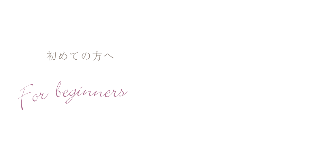 Beginner’s Guide