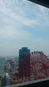 DSC_0253.jpg