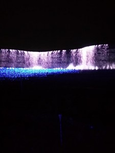DSC_0428.JPG