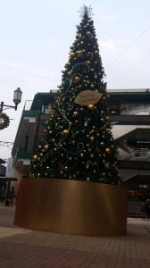 DSC_0294.jpg