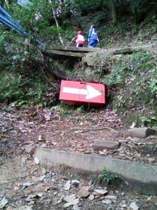 DSC_1352.JPG