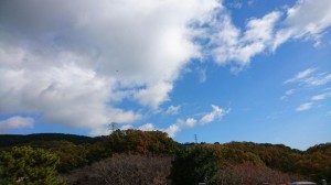 1511271571775.jpg